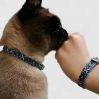 قلاده سگ فانتزی