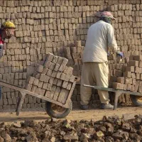 کارگر ساده هستم کسی کار داشتی انجام داد می‌شود|استخدام معماری، عمران و ساختمانی|محمدشهر, کوی بهار|دیوار