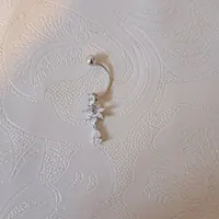 گوشواره نقره