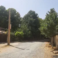 ۷۰۰زمین خیابان گلها شنده