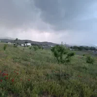 زمین باغ بدون فنس