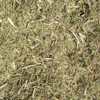 خارشتر کیلو ۱۰