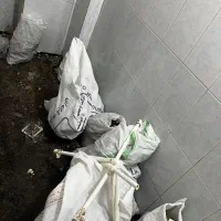 نخاله ساختمانی رایگان|مصالح و تجهیزات ساختمان|رشت, معلم|دیوار