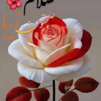 نیاز به سرمایه