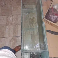 اکواریوم|ماهی|قم, انسجام|دیوار