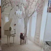 پرده زبرا دو مکانیزه