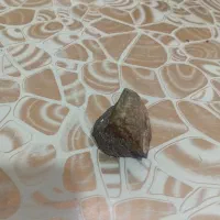 شهاب سنگ|جواهرات|قرچک, مهدیه|دیوار