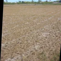 زمین کشاورزی