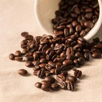 کارگر ساده بسته بندی قهوه/جای خواب/غذا/بیمه|استخدام صنعتی، فنی، مهندسی|پرند, فاز ۶|دیوار