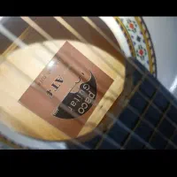 گیتار|گیتار، بیس، امپلیفایر|گلبهار, شهر جدید گلبهار|دیوار