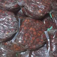 خرمایی مرداسنگ|خوردنی و آشامیدنی|منوجان, |دیوار