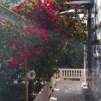 ویلا باغ سندملکیت تک برگ(زیر دوساعت تا تهران)