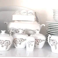 ظروف پزیرایی