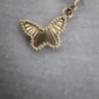گوشواره گم شده