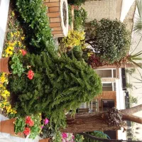 اجرا ونگهداری فضای سبز