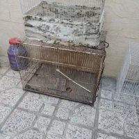 چند عدد قفس|لوازم جانبی حیوانات|مشهد, نوید|دیوار