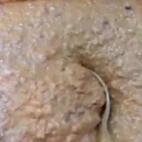 معجون اوارنیوم ۹۰ درصد...|خوردنی و آشامیدنی|اهواز, نادری|دیوار