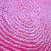 جهزیه عروس و داماد|سرویس روتختی|ارومیه, |دیوار