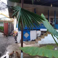 ویلاباغ ۴۰۰ متری بهمراه سوئیت جداگانه/ کوچصفهان|فروش خانه و ویلا|رشت, بلوار گیلان|دیوار