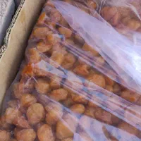 آلو|خوردنی و آشامیدنی|نیشابور, باغرود|دیوار