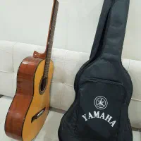 گیتار کلاسیک|گیتار، بیس، امپلیفایر|تهران, دانشگاه شریف|دیوار