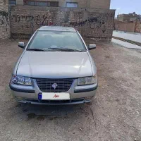 سمند نقره‌ای خونگی