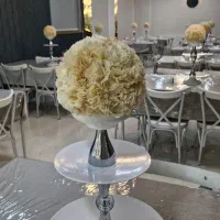 اجاره خانه عقد و تولد مهرآگین فضای شیک و اقتصادی