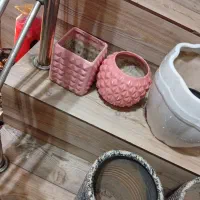 گلدان|گل و گیاه طبیعی|رشت, جانبازان|دیوار