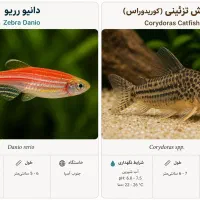 دو عدد ماهی و لوازم جانبی آکواریوم