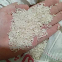 برنج