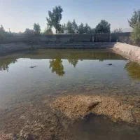 استخر پرورش ماهی|اجارهٔ دفتر صنعتی، کشاورزی، تجاری|اصفهان, سرشبادران|دیوار