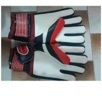 دستکش دروازه بانی نو|تجهیزات ورزشی|اصفهان, طاحونه|دیوار