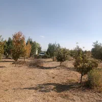 باغشهرها ساوالان