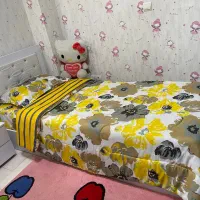 روتختی تک نفره