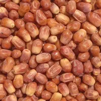 خرما زاهدی /قصب درجه یک محصول امسال|خوردنی و آشامیدنی|شیراز, شهرک گلستان|دیوار