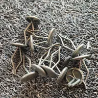 خارجات خودرو ایرانی و چینی