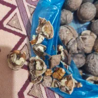 گردو فروشی