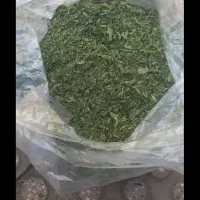 گردو ی زنوز|خوردنی و آشامیدنی|مرند, |دیوار