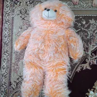 خرس یک متری