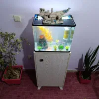 اکواریوم حرفه ای  شیشه خم درب دار سایز ۵۰ در ۳۰|ماهی|ایلام, |دیوار