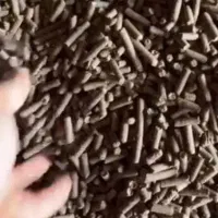 همایش ک و د   مر غ ی