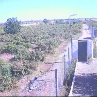 باغبان باغ و شریک در محصولات