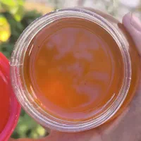 پخش عسل طبیعی تربت|خوردنی و آشامیدنی|تربتحیدریه, میدان مرکزی|دیوار