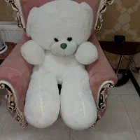 خرس بزرگ یک متری