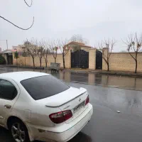 زمین سند داربا جواز ساخت|فروش خانه و ویلا|تنکمان, |دیوار