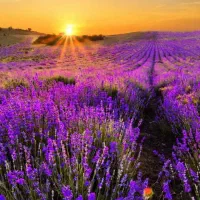 انرژی و فرکانس هیلینگ خواسته شما|خدمات پذیرایی، مراسم|اندیمشک, |دیوار