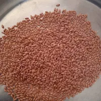 گندم بوجاری برات