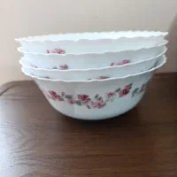 ظروف سرو و پذیرایی