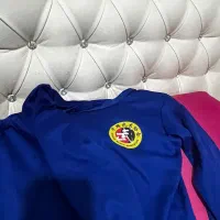 لباس ووشو|لباس|شیراز, فرهنگ شهر|دیوار