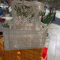 سبد نگهداری محصولات سبد حمال سبد بیست کیلویی